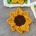 crochet sunflower pattern