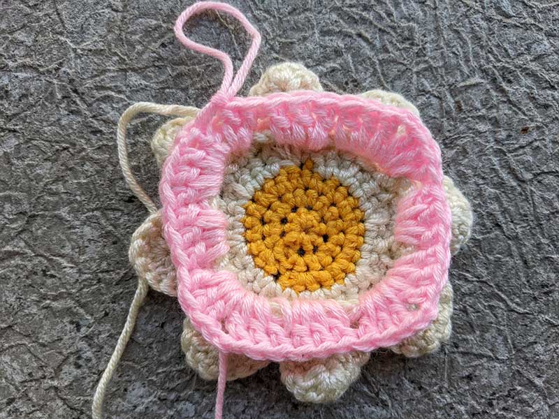 crochet daisy granny square round seven