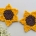 crochet sunflower head pattern