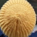 crochet two-color men's hat - crown view