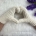 crochet flat couple-style ribbed mittens - photo 5